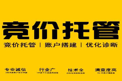 竞价广告与自然搜索的结合策略：XX网站的案例分析